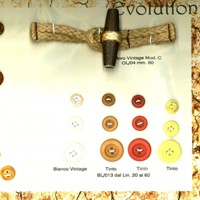 EVOLUTION 7812-7